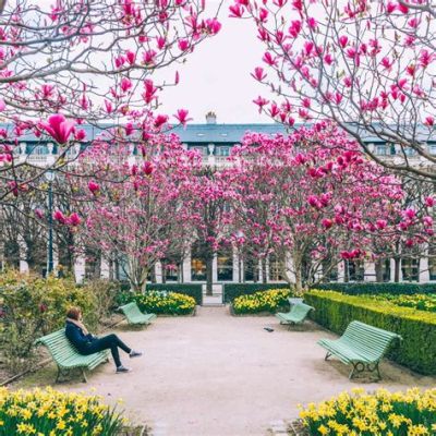 De Jardins du Palais Royal! Een Oase van Kalmte en Kunst in het Hart van Parijs