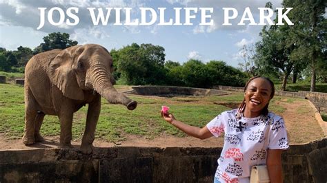  Het Jos Wildlife Park: Een Oase van Biodiversiteit en Wonderlijke Creaturen!