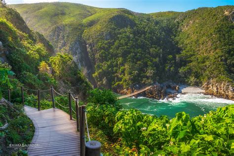 Het Tsitsikamma Nationaal Park: Een wildernis avontuur aan de wilde kust!